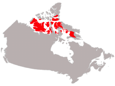 Social Studies Regions Of Canada Arctic Region